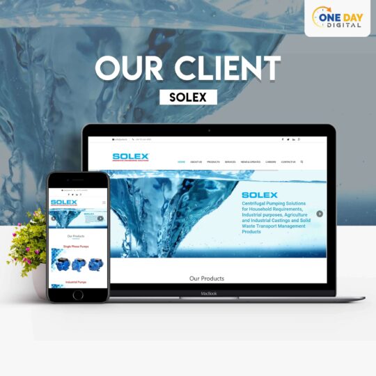 Our Clients – Solex (1)